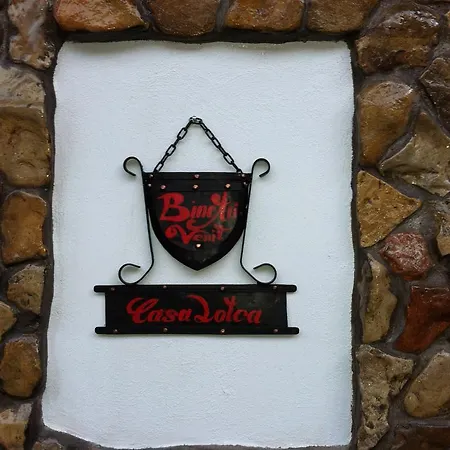 Casa Lotca Κατάλυμα σε φάρμα *